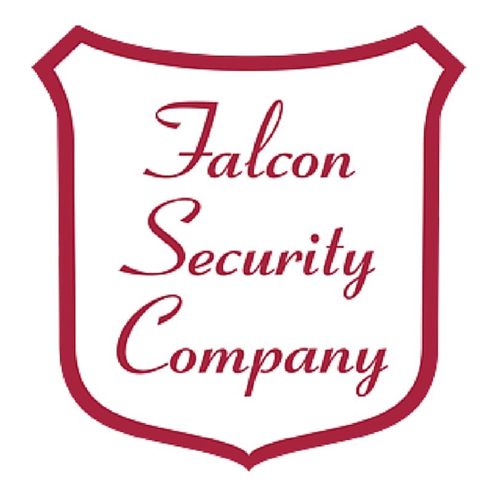 Falcon Security